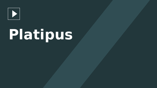 Platipus