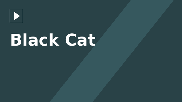 Black Cat